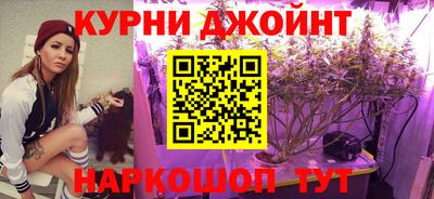 ешки Новодвинск
