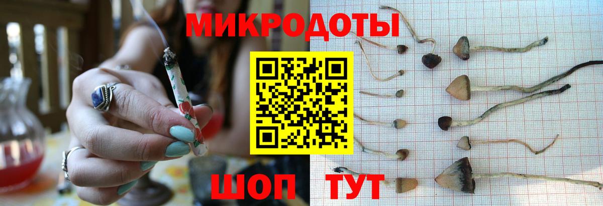Псилоцибиновые грибы Psilocybine cubensis Чайковский